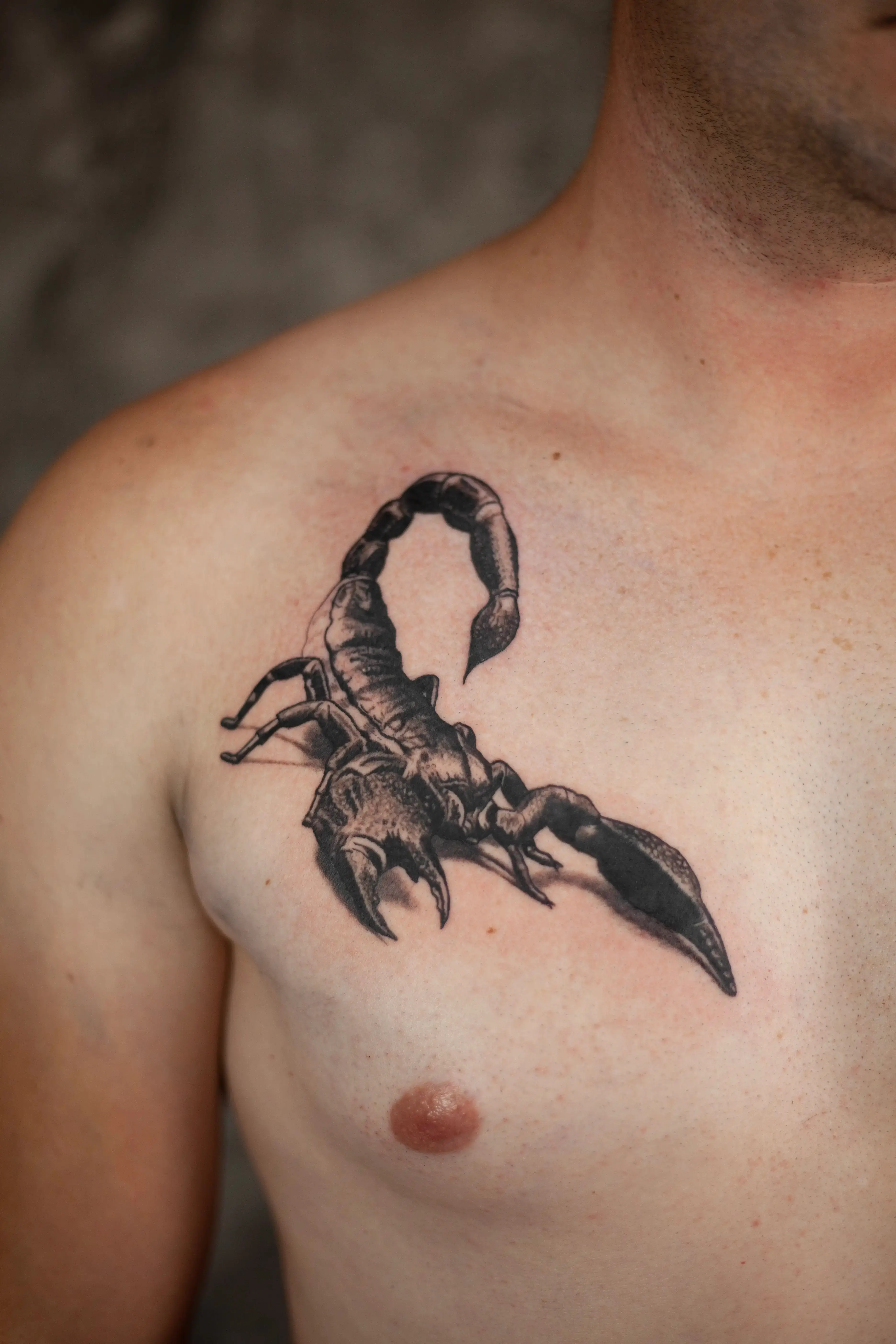 Tetovaža Škorpija na grudima - Black & Grey - Eternal Art Tattoo Studio Loznica